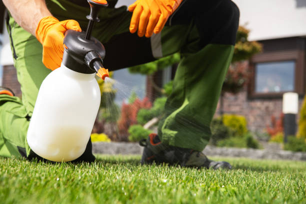 Best Affordable Pest Control Services  in Kayak Point, WA