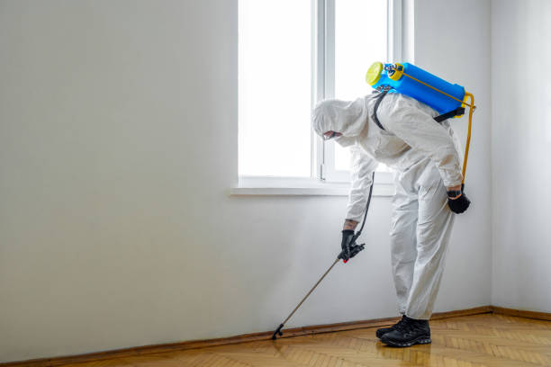 Flea Control Services in Kayak Point, WA