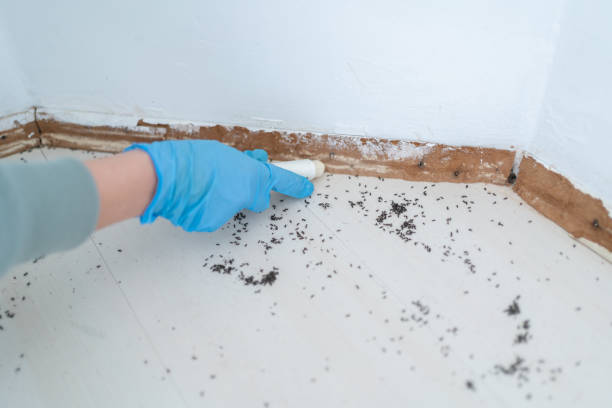 Kayak Point, WA Pest Control Company