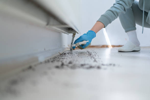 Best Pest Removal Services  in Kayak Point, WA