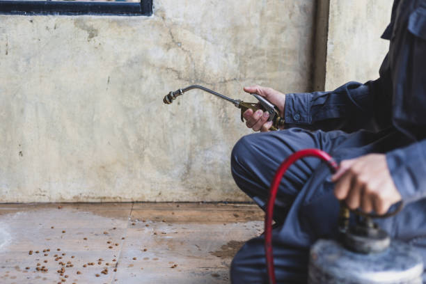 Best Pest Prevention Services  in Kayak Point, WA