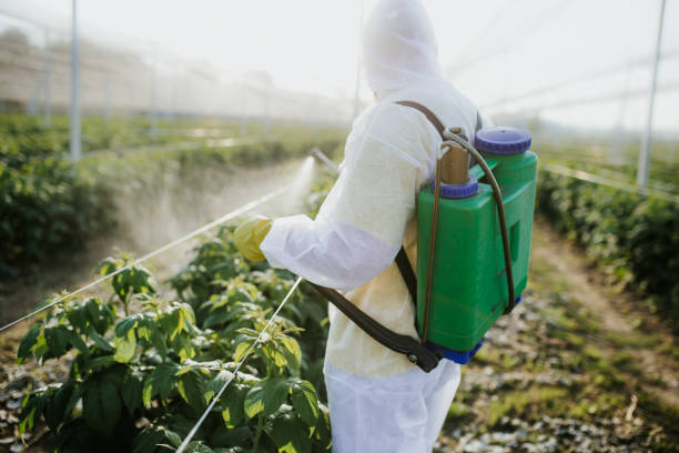 Best Flea Control Services  in Kayak Point, WA